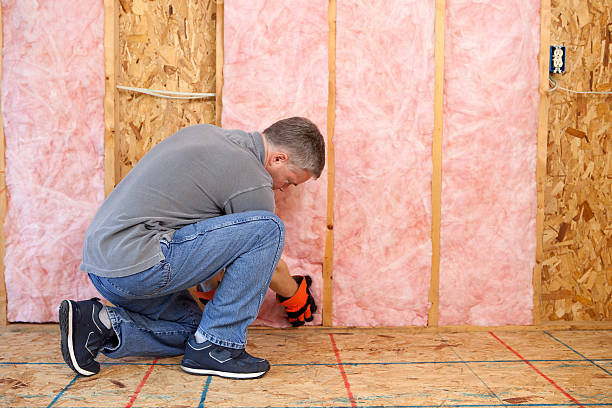 Best Insulation Maintenance and Repair in Dooms, VA
