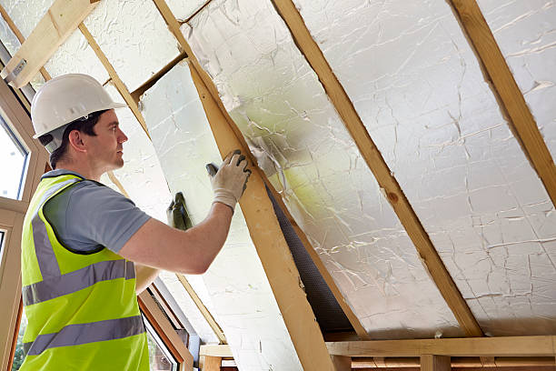 Best Cellulose Insulation in Dooms, VA